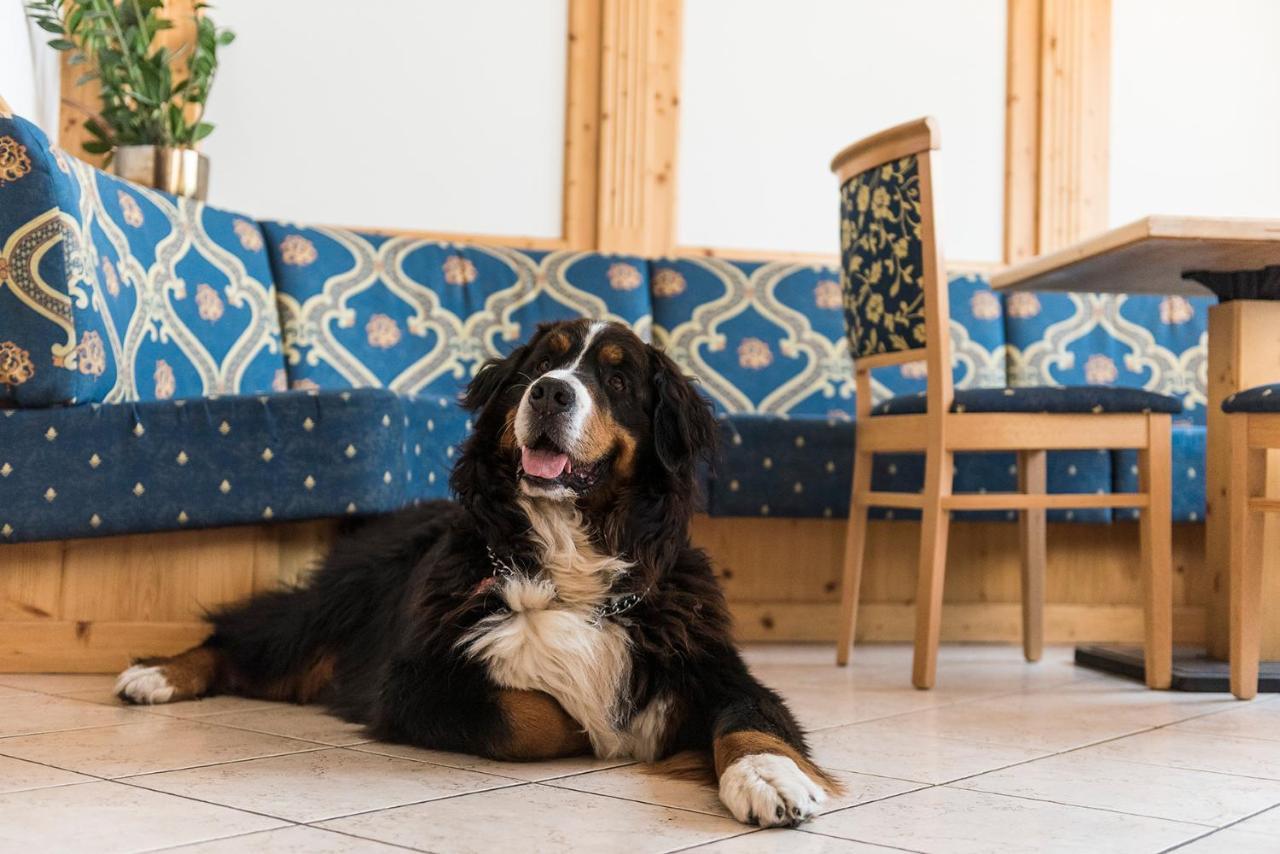 Hotel Lory - Molveno - Dolomiti Екстериор снимка